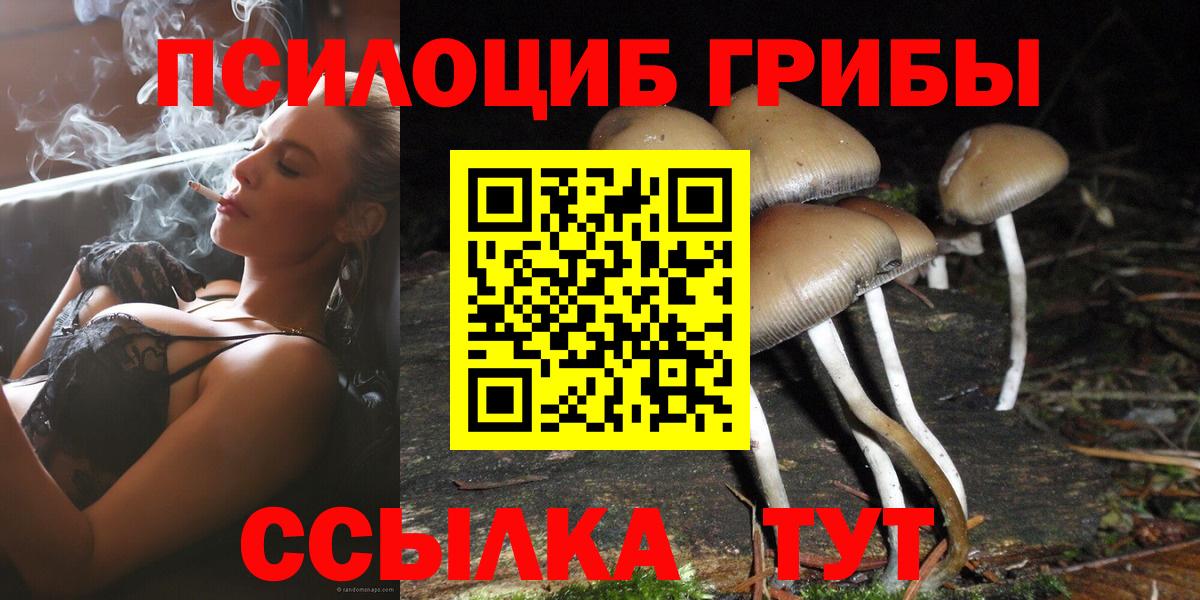 Конопля  Гашиш  Метамфетамин  Меф кристаллы  ТГК  Мурино  Как найти закладки?  Кокаин  Вход с VPN  Alpha PVP СК   Экстази 