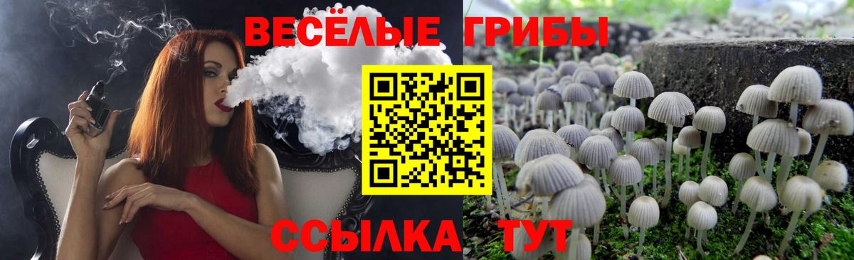 Галлюциногенные грибы Cubensis Мурино